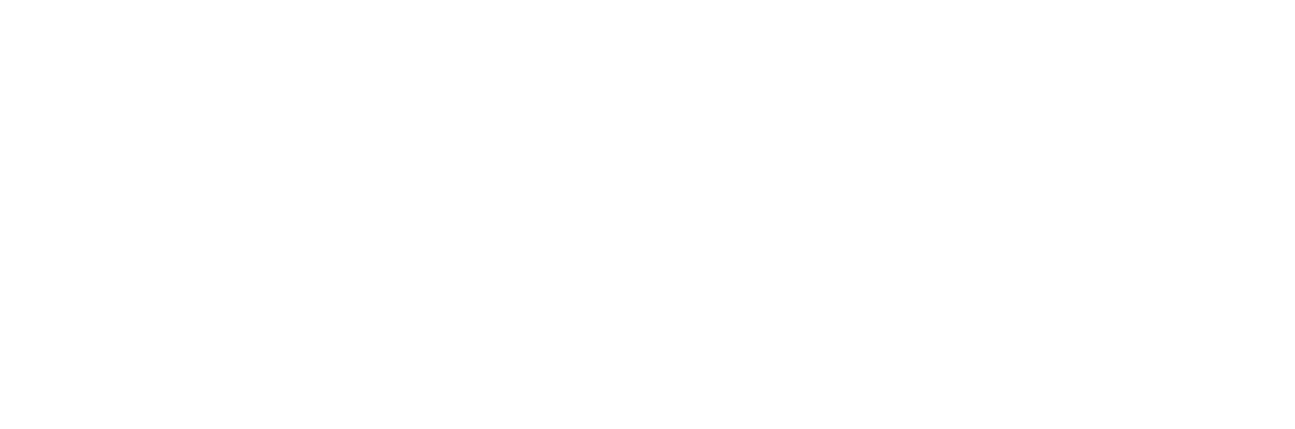 TAV — The Artificial Vision